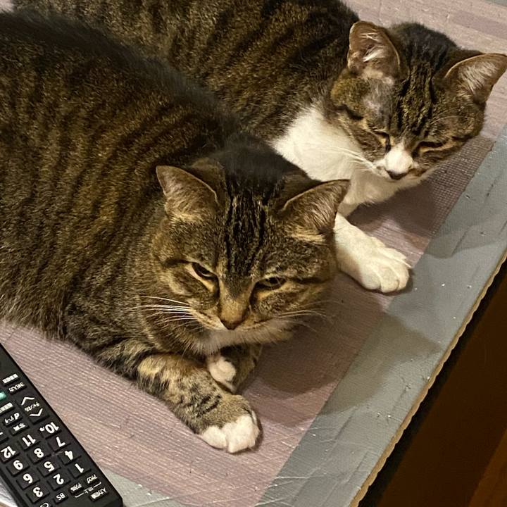 4d0a5834 47a8 497d be6b 9b119c21b3aa 1653320970703