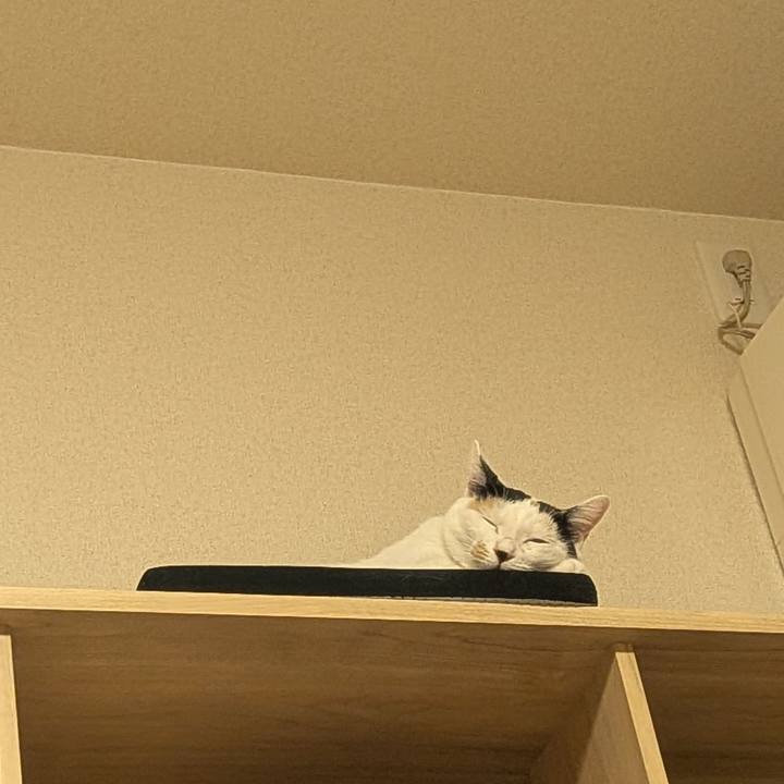 4d0a5f4a af96 4176 b2ad ee2f25801e38 1756820910360