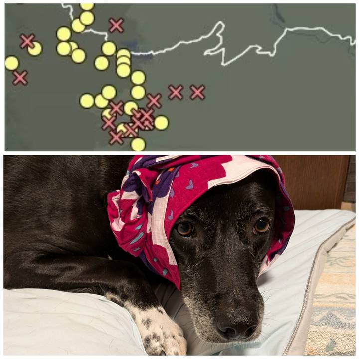 4d0a8991 038c 4bdd 9422 d8d643eae0e9 1721466812898