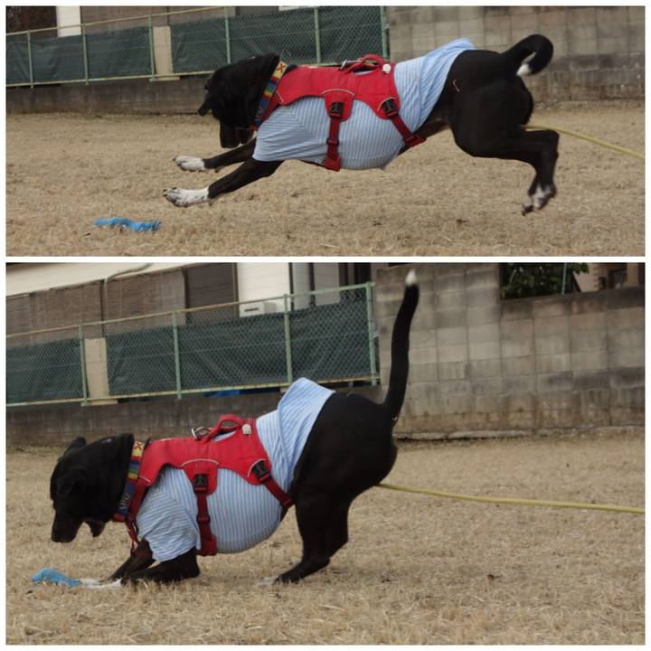 4d0a8a1d c099 4afa 8fcd b3cb811a5dfe 1674794972735