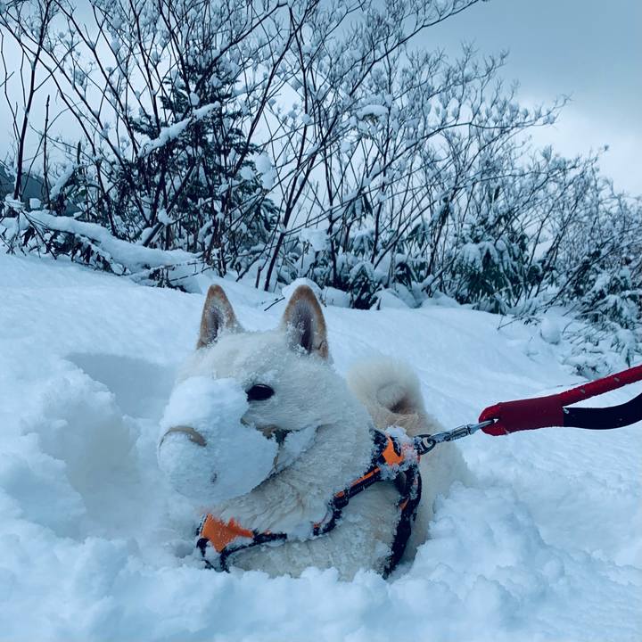 4d0a9160 1197 4e56 ac3c b4ec17706948 1670714847486