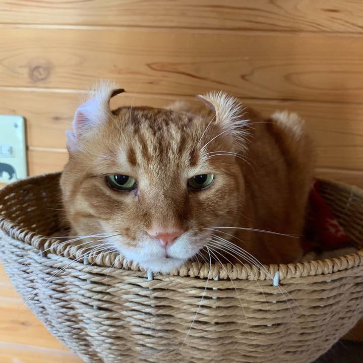 4d0a99b7 bc47 46c4 8377 e9ee43f9d48a 1609422638061