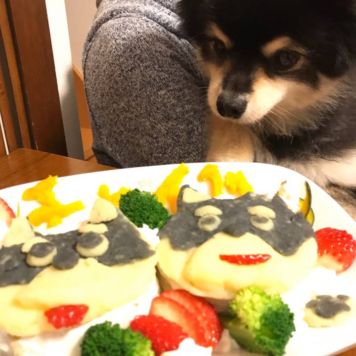 4d0ad134 0359 4dee b7b6 9003b0d1e92e 1578139022485