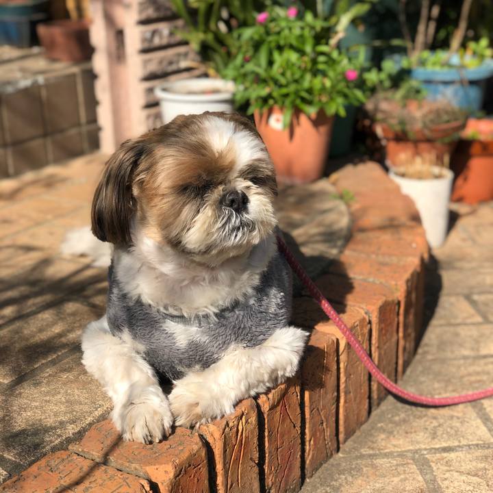 4d0af5c7 0f5f 49a1 81e7 32840f2826c7 1582260570172