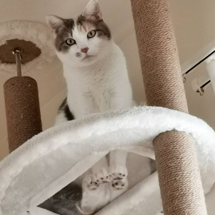 4d0afcd9 1434 477a 9c4b b29ffb0e7438 1647071585319