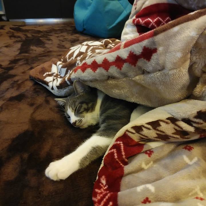 4d0b0d35 8c82 4e9f 804b def19a24aa70 1574397050764