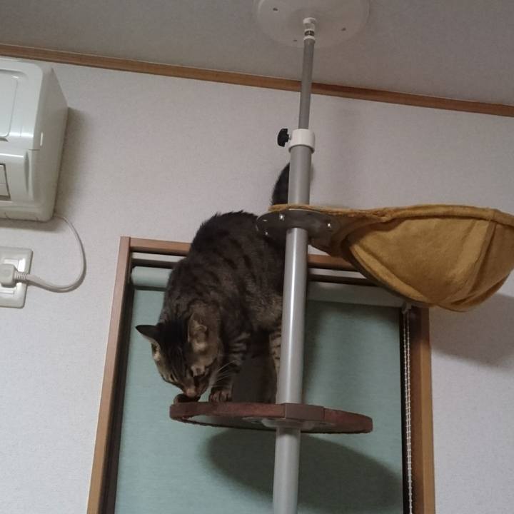 4d0b3c06 7192 4e66 bf9a 03ef3a90ae4a 1510614525343