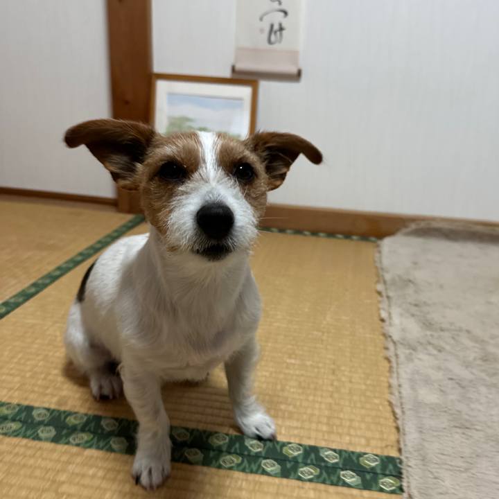 4d0b82c7 2f25 4e1f ae7b 8a87212432c1 1768775343764