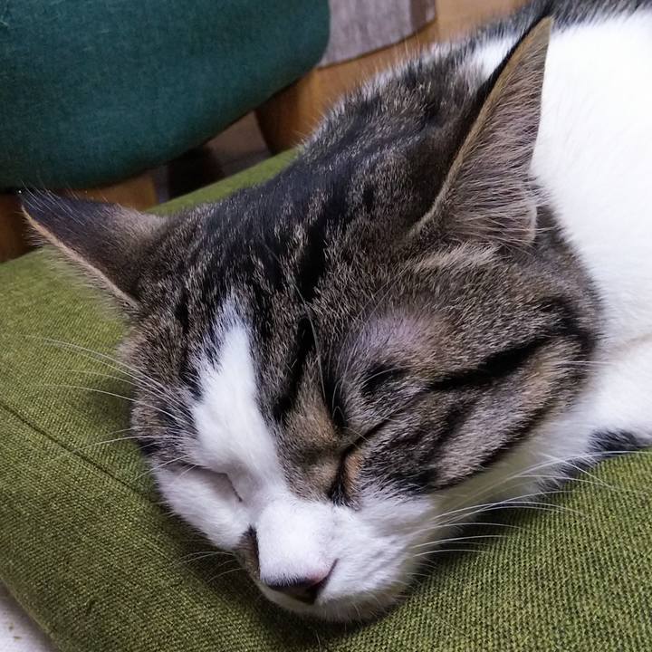 4d0b857f a7db 46b1 8afb c117d83e1211 1620219559276