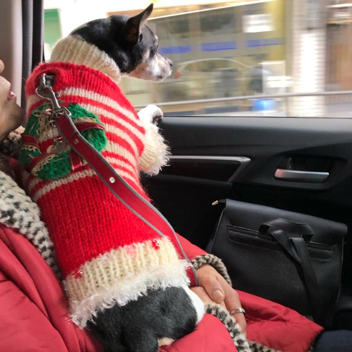 4d0b862e ffeb 409b b1cb 6d94ddec6c76 1545636010966