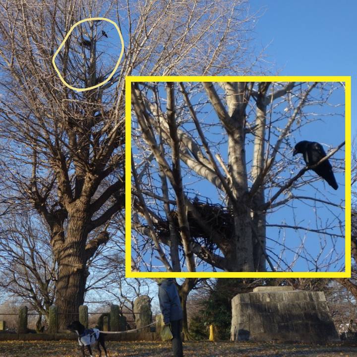 4d0b8d7e c91e 4c1d 8d43 561b629b8252 1640048070940