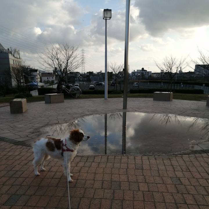 4d0bd038 592c 475d b60a 1b2ff9fab1bb 1583398371135