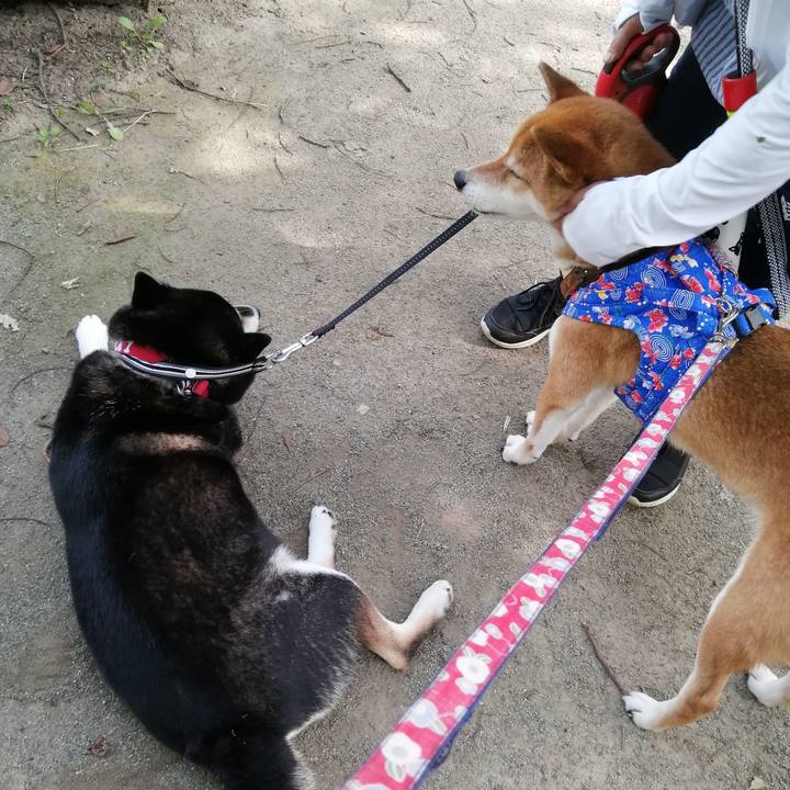 4d0c1876 2b70 469b 887f 3b283047999e 1596604142779