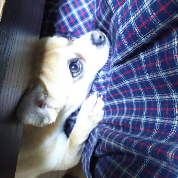 4d0c38b8 f260 41c7 8755 30ac52c225ac 1514547694863