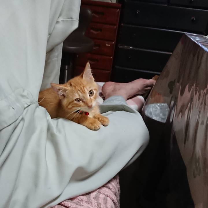 4d0c74bc 7726 471e b4c5 1dc713fe0af6 1629884177349