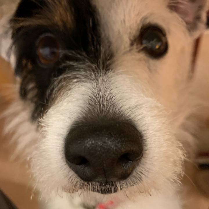 4d0cb49c 0dc1 4abf 9f31 32d79c1ff517 1556974535138