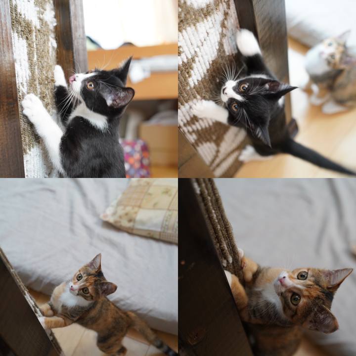 4d0cd5f4 1845 47f4 8496 af5b9b4564f9 1570406376006