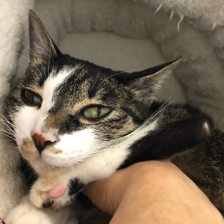 4d0d1702 1750 49a9 97b4 62725d968f60 1553300378236