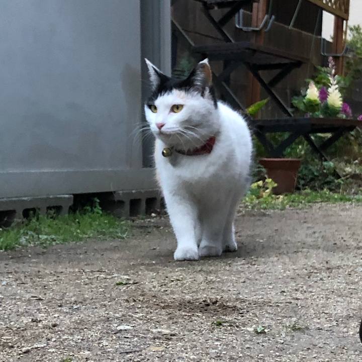 4d0d2f0a c301 4847 9b42 d11a852b3b7f 1614590123192