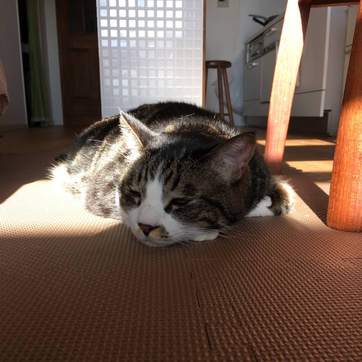 4d0d4942 88fe 4297 b567 2980717df5b4 1515199881931