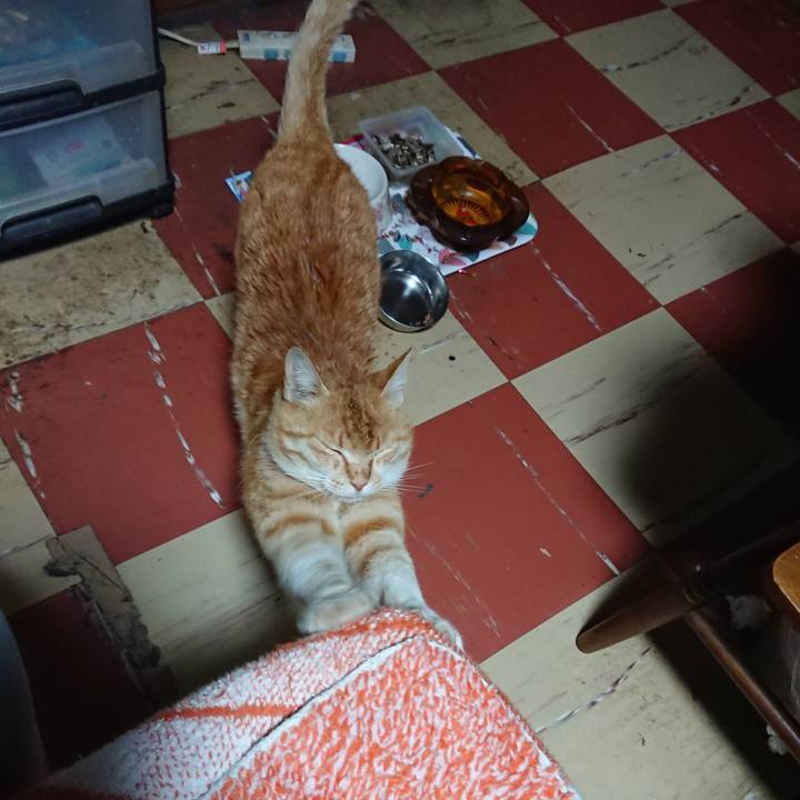 4d0d9331 5cf8 462b a6f4 b853761b6952 1588709746578