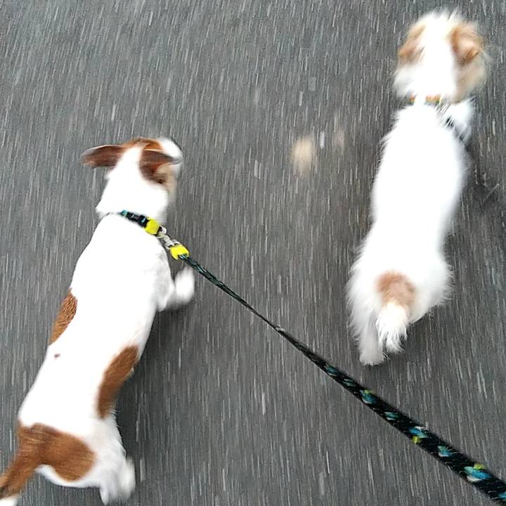 4d0da458 ab72 48b0 9b3a 1c6f01afb935 1529322913995