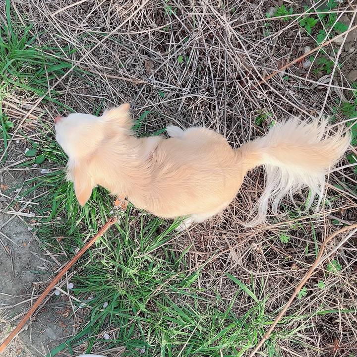 4d0df1bf 8f0e 4586 a8d8 f78a17a5e5cd 1713170419442