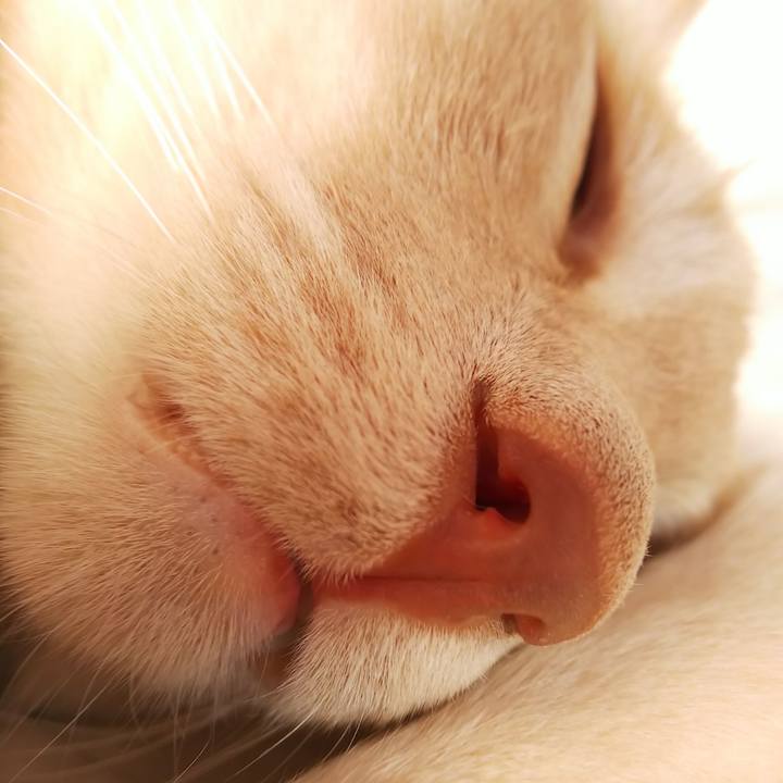 4d0e235f e814 4472 bbda a51b71b996e3 1664581165645