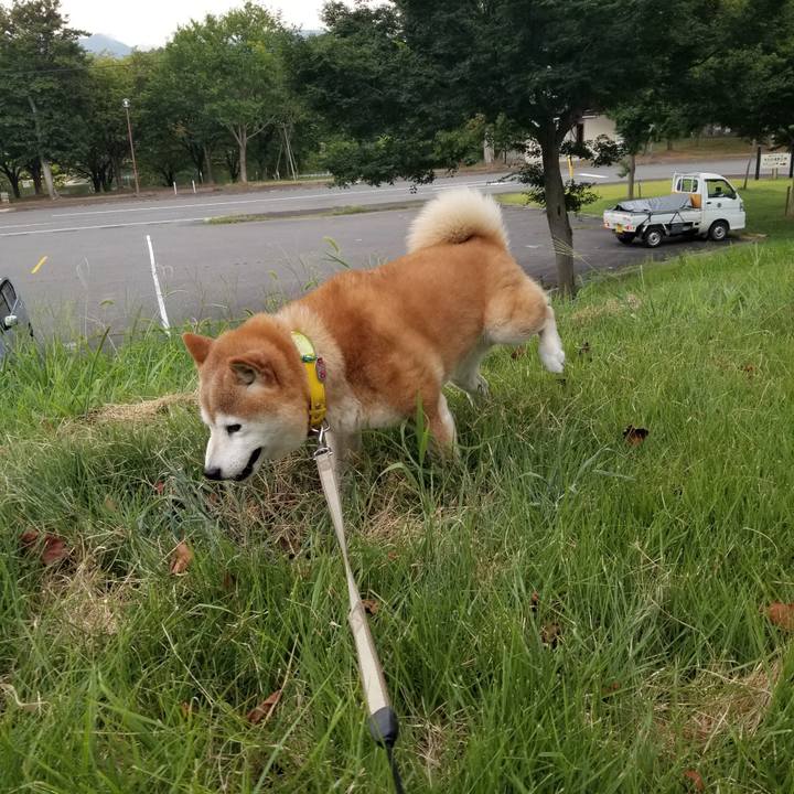 4d0e542c 72b3 4c4b 8523 d7f65e54d737 1692431095289