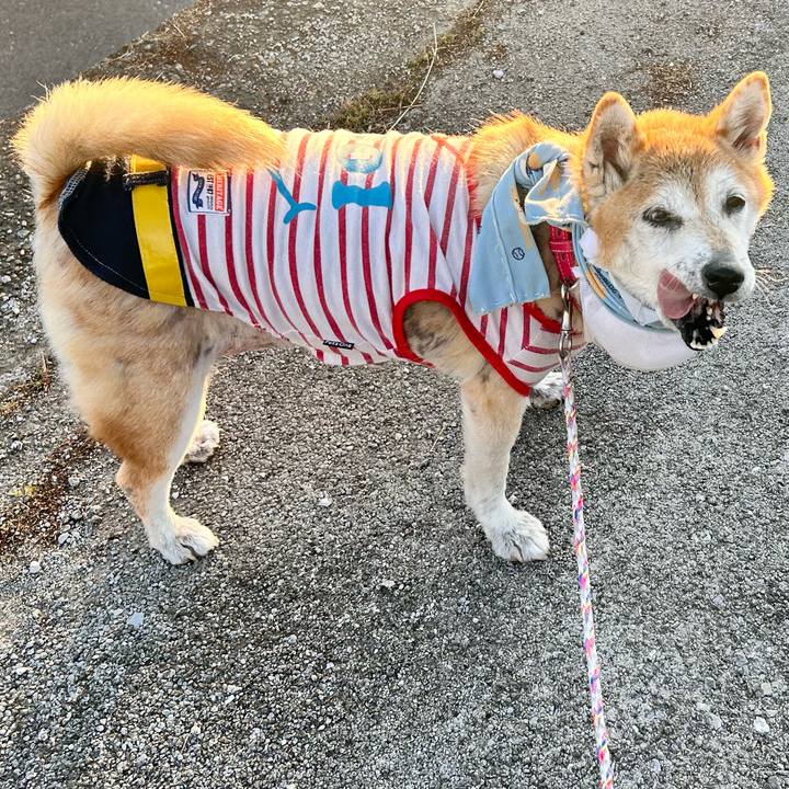 4d0e6fc2 bee7 41ad 9dd1 d067c727d338 1763535435167