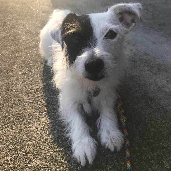 4d0e9ae0 258f 4bfa 8039 0543eff4a563 1537259135512