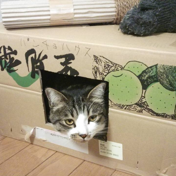 4d0ea113 3cac 495c ac9d 7be45ba0134f 1550362659818