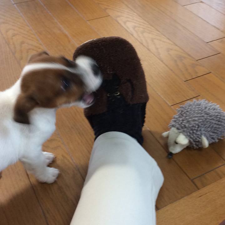 4d0ee06c 2dcd 49e5 ae18 c662d33b38c5 1510571472272