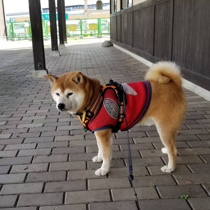 4d0eeef7 3031 46f1 8faf 094f904e7c53 1583907355541