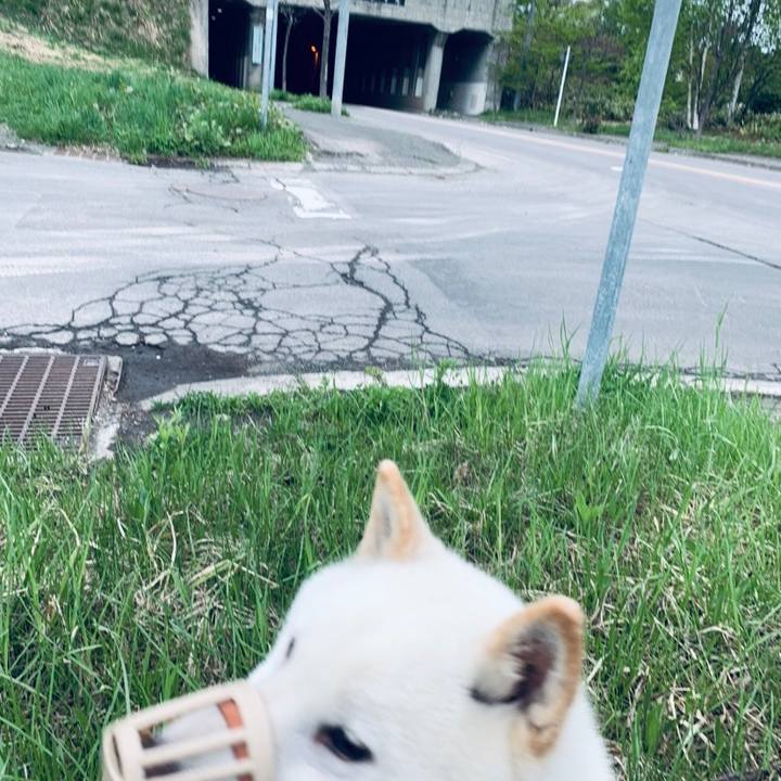 4d0f2cb2 a40d 4f6b 87f7 74dfdf1f08c4 1557530454005