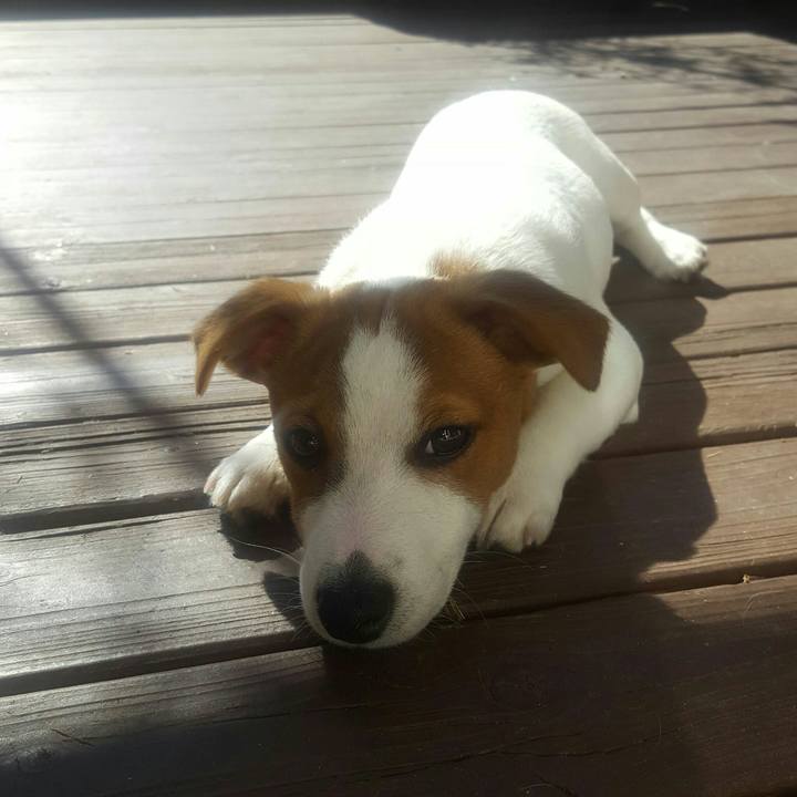 4d0f3991 86be 4a61 bd70 c8a0e56bfa98 1552031540254