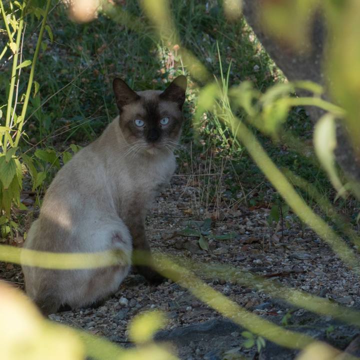 4d0f7058 f32b 4522 b8ee 4b4caaaadfc8 1534126148807