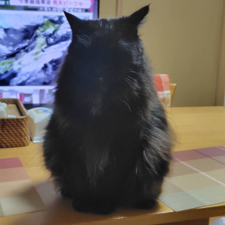 4d0f76ce 2f07 48fe 94b8 a3d515b9863a 1768133555882