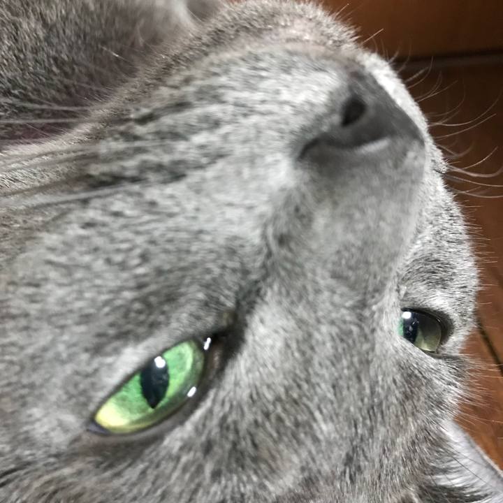 4d0f9ac7 e205 4c84 9938 423ed35bc177 1536965508227