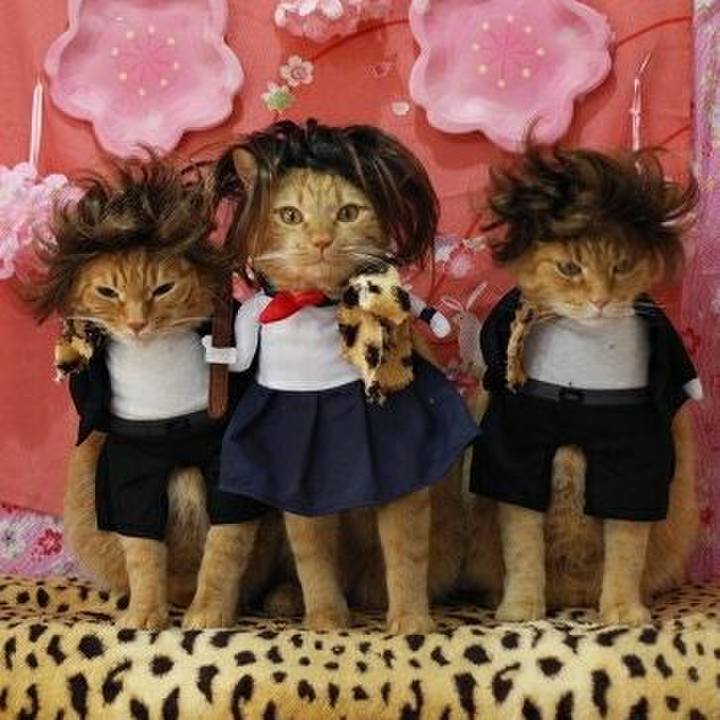 4d0fb097 ad98 47c3 a46f 34748e0c20ed 1585741273454