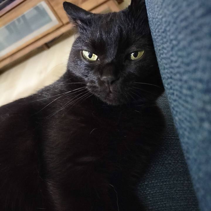 4d0fd64a 291a 4e0d bc14 8aa570ffea95 1690201783733