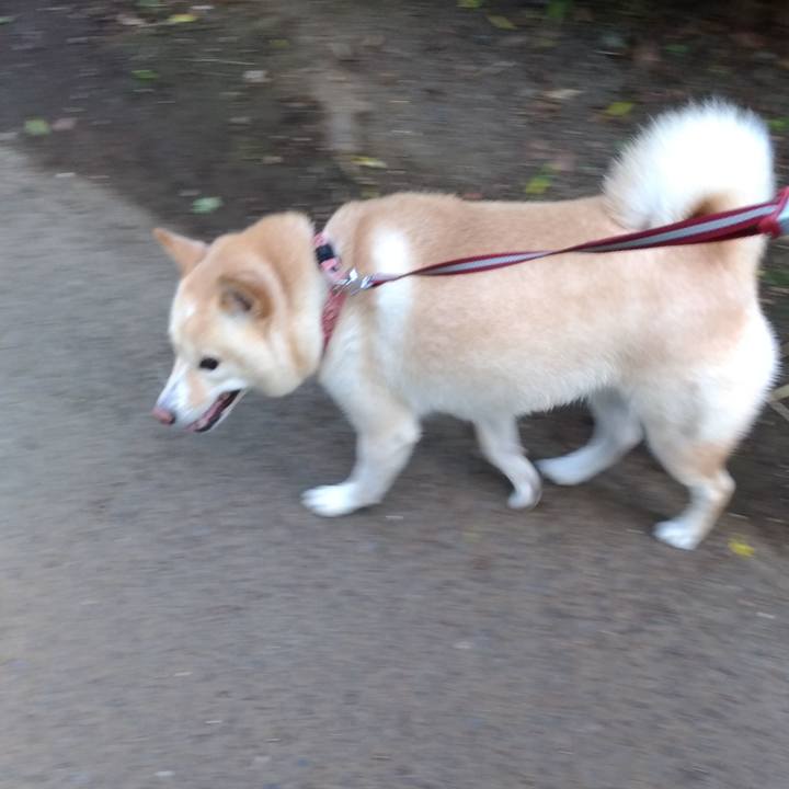 4d0fdea8 b80f 4342 bcf8 36fba47d938a 1601680462656