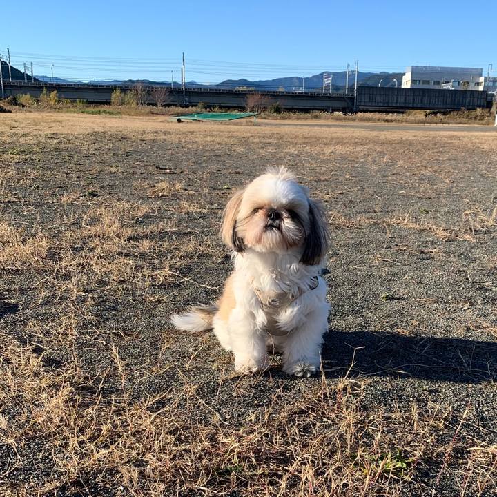 4d0feda0 6c2b 4a23 91d1 af16b8a46aab 1639832786307