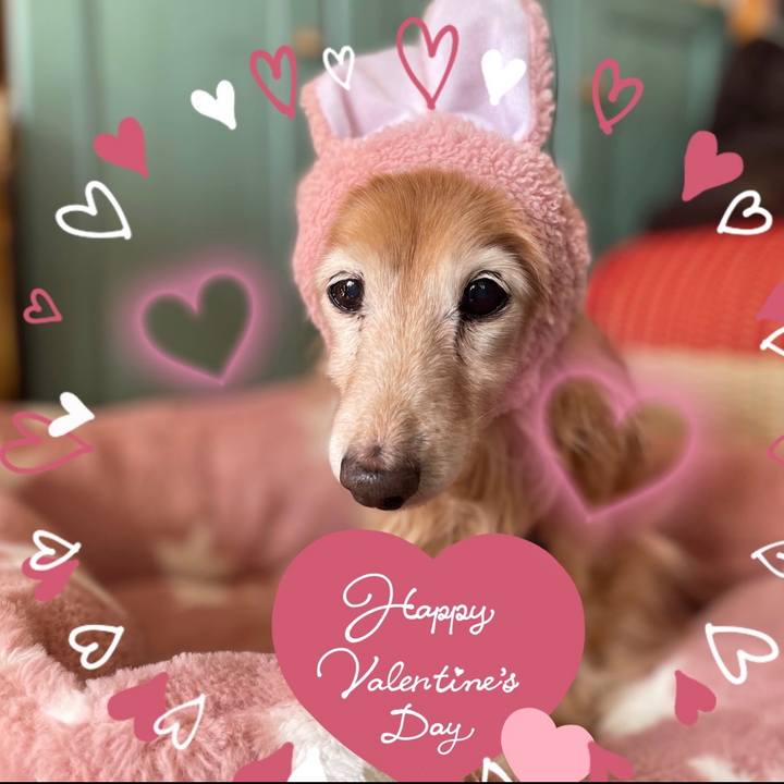 4d101dde 212f 4c0d ab64 14de8c752402 1771048467500