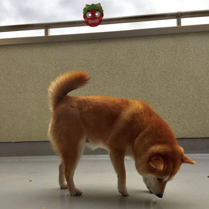 4d103df4 ce01 42f3 966c f83d2a53680a 1517640776213