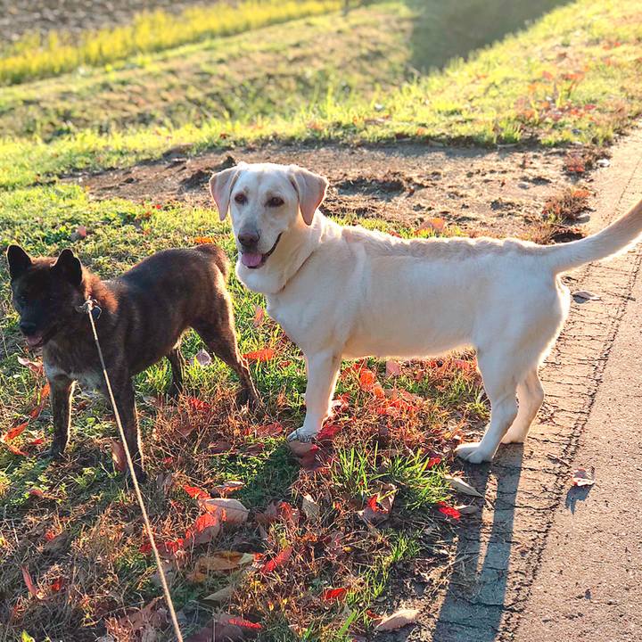 4d106293 4051 4a6d 84bc ad08674946a5 1543212169014