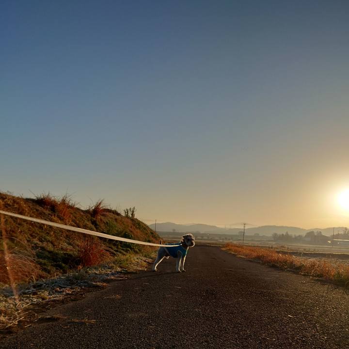 4d108e4a 8669 41da 8853 51929bf6a146 1764543933641