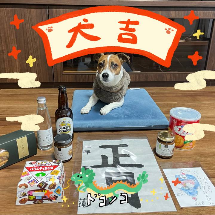 4d10c6ea 12d6 4037 bdd2 bca6d9a2c58d 1704504909563