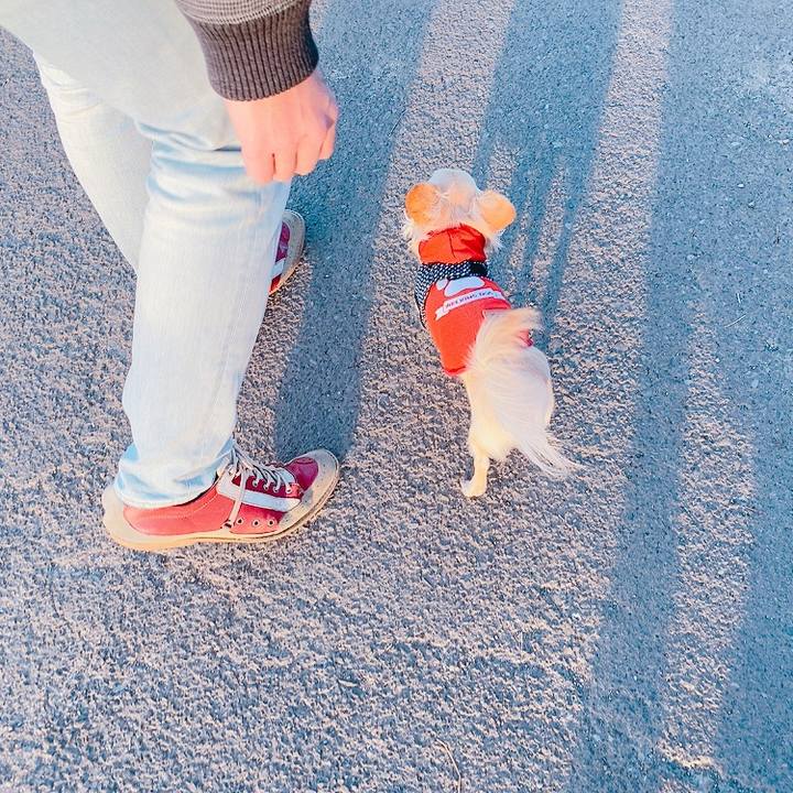 4d10f77d ba57 46dd bc41 93bd84e73386 1614070921127