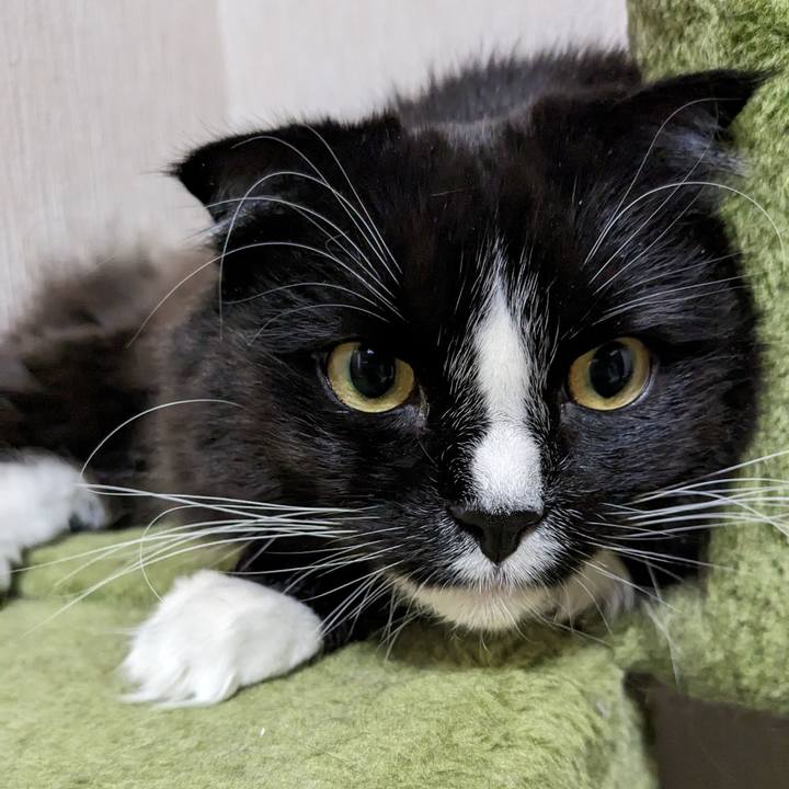 4d111b57 2903 42a1 a98a 8913b45e28f1 1677328694632